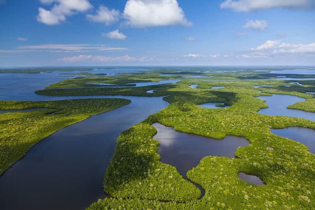 Aerial view, Everglades National Park, FLORIDA (AdobeStock)
