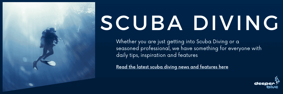 Scuba Diving Header Image