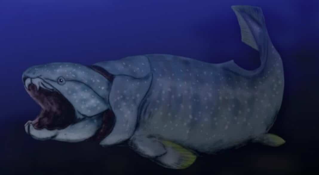 Dunkleosteus – one of the animals involved in the research (Image credit: Nobu Tamura)