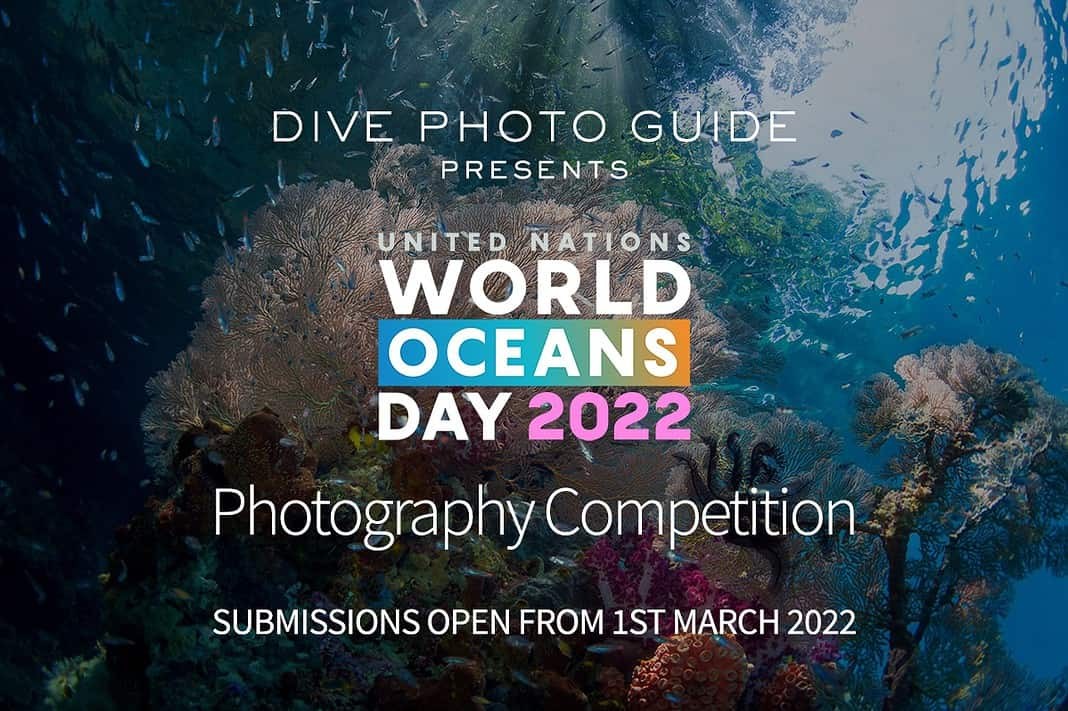 Ninth Annual UN World Oceans Day Photo Competition 2022 (Image credit: Kevin De Vree)