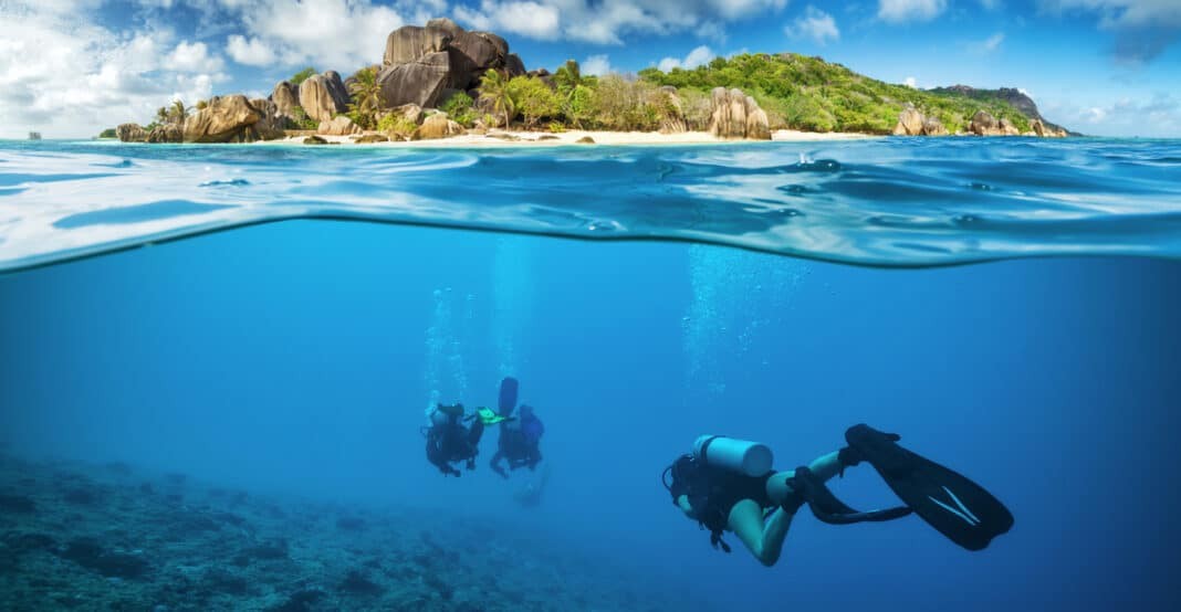 Divers below the Seychelles in the Indian Ocean (AdobeStock)