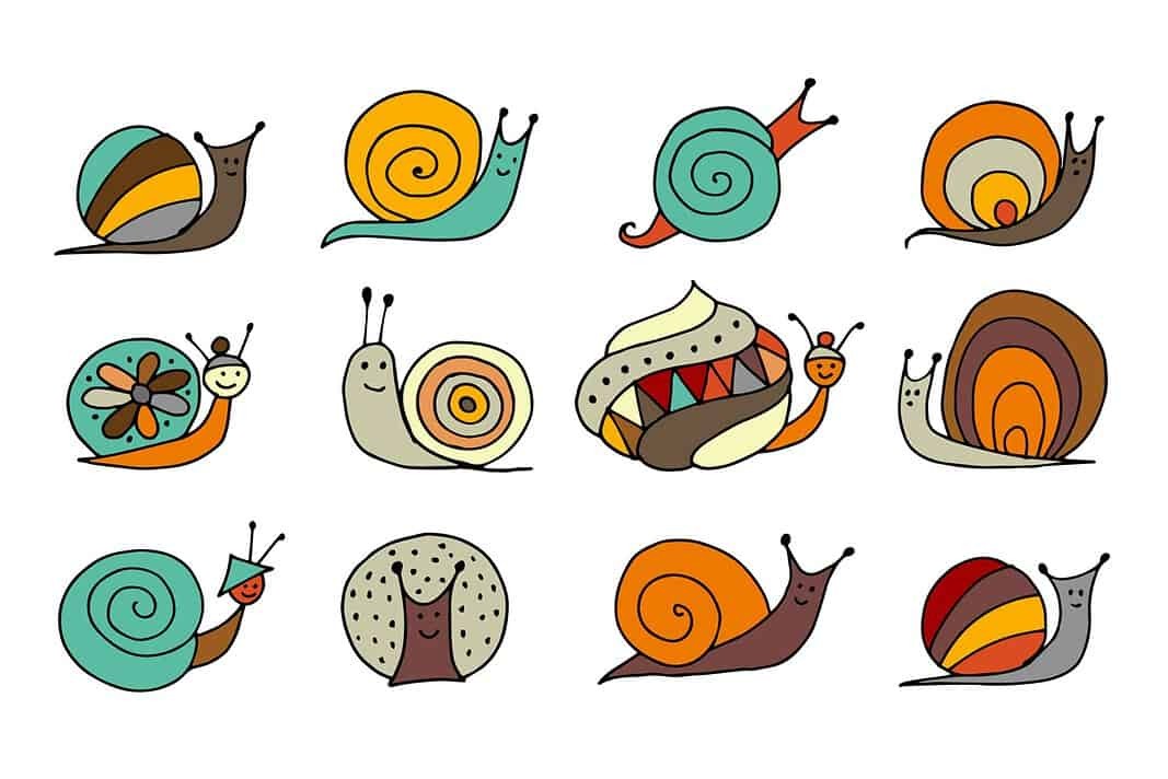 Sea snails (AdobeStock)