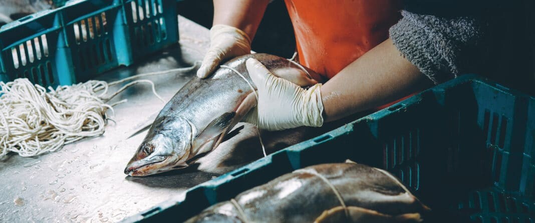 Seafood Processing (AdobeStock)