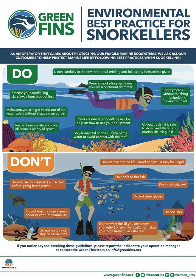 Green Fins Poster on Best Practices for Snorkelers