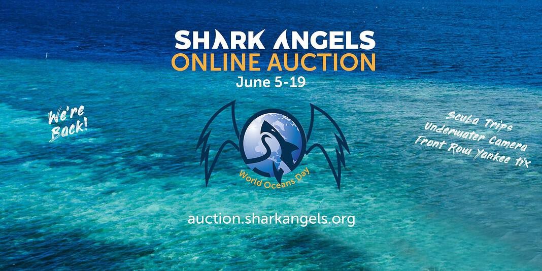 Shark Angels World Oceans Day Auction