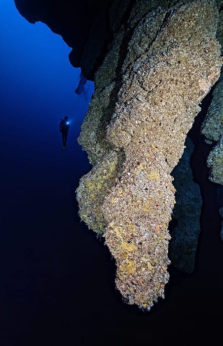 Stalactite in Belize. Photo by Michele Westmorland, Scott Johnson and Aggressor Adventures