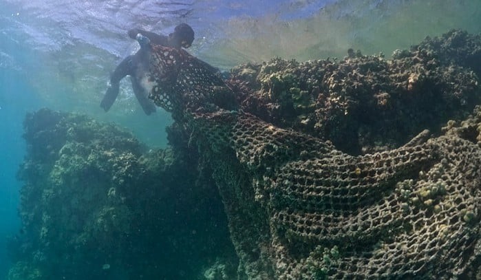 Diver Max Lee works on removing a derelict fishing net at Kamokuokamohoali?i / Maro Reef. (Image credit: James Morioka/PMDP)