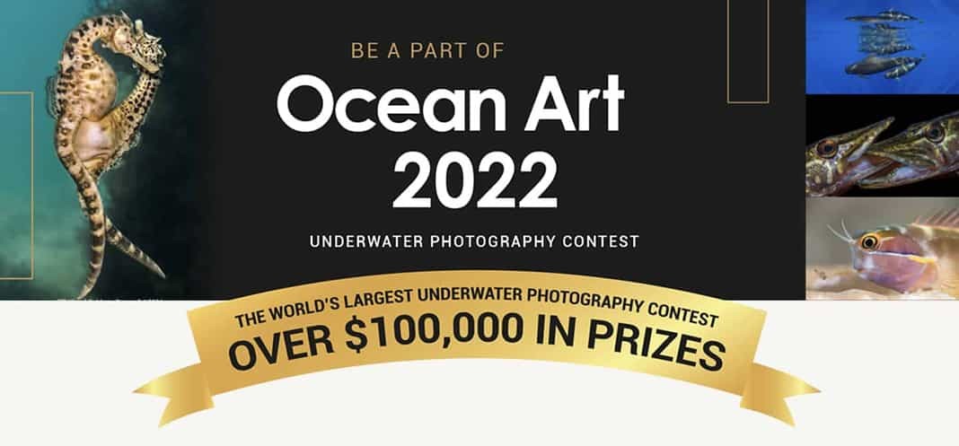 2022 Ocean Art Underwater Photography Competition