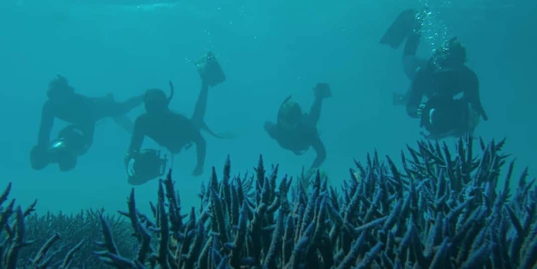 Shipwreck Hunters Australia | Official Trailer | Disney+ - YouTube