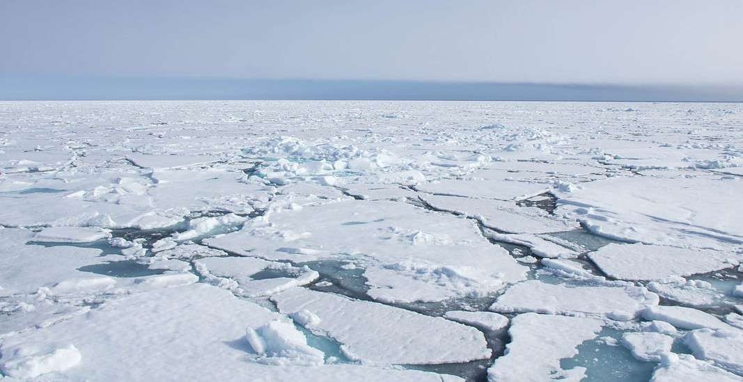Arctic Sea ice (Adobe Stock)