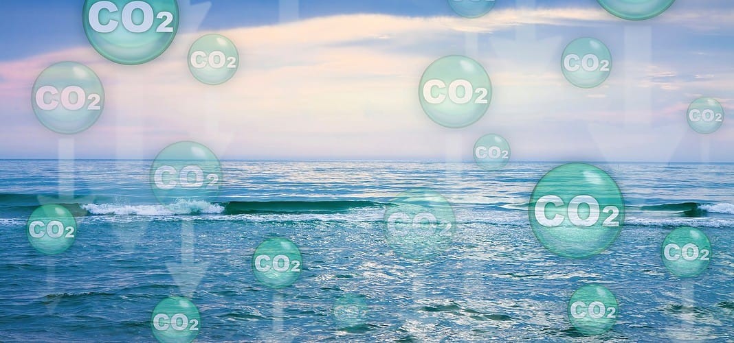 Carbon dioxide in the ocean (Adobe Stock)