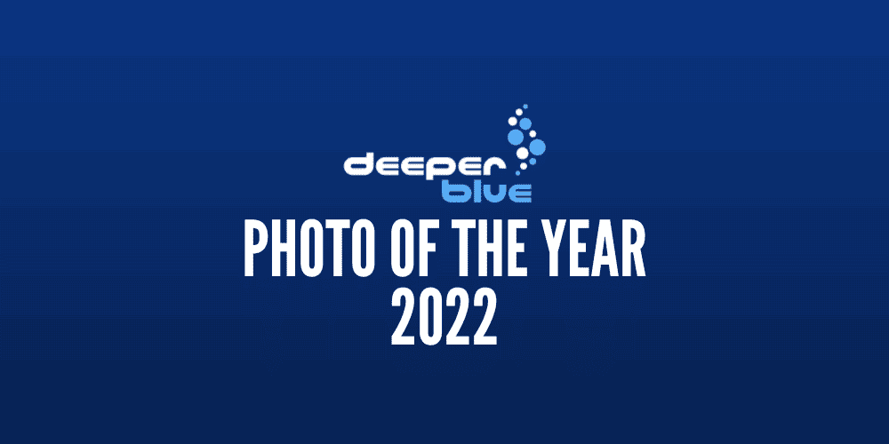 DeeperBlue.com - Photo Of The Year 2022