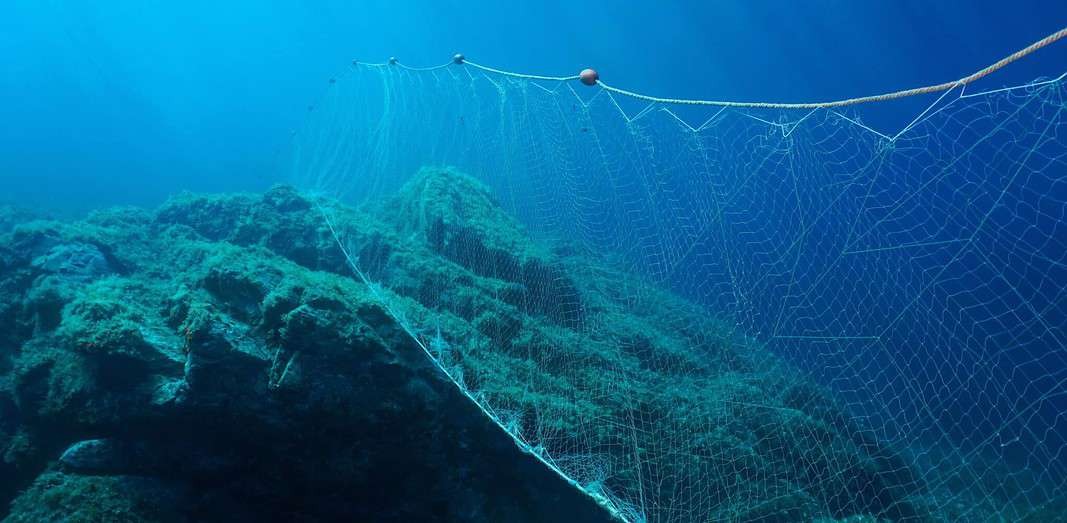 Fishing net under water gillnet in the ocean with rock and blue water (Adobe Stock)