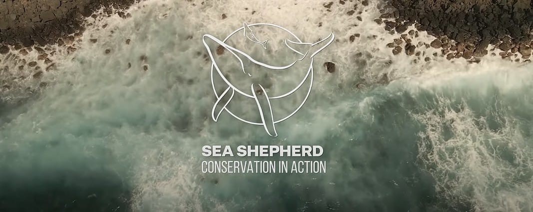 Sea Shepherd 2022 Year in Review (Image credit: YouTube)