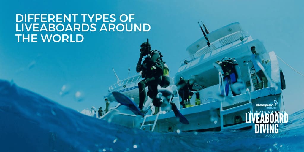 Different types of liveaboards around the world - Ultimate Guide to Liveaboard Diving