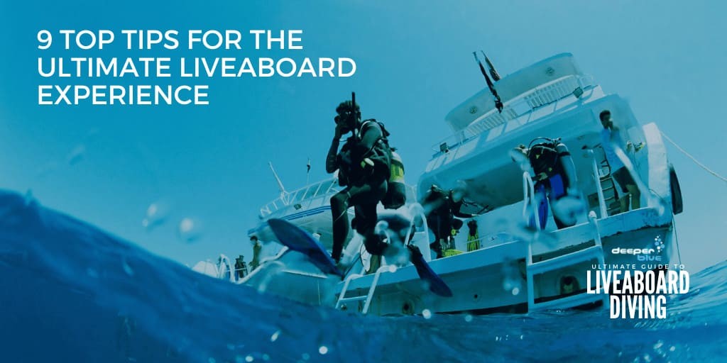 9 Top Tips For The Ultimate Liveaboard Experience - Ultimate Guide to Liveaboard Diving