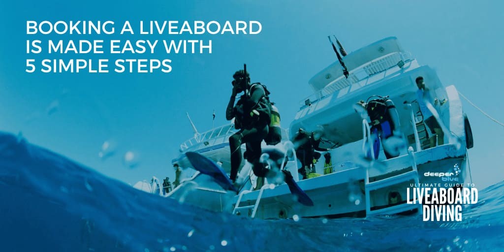 Booking a Liveaboard Is Made Easy With 5 Simple Steps - Ultimate Guide to Liveaboard Diving