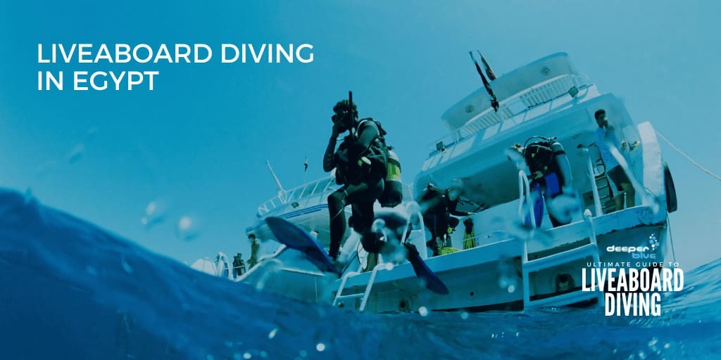 Liveaboard Diving In Egypt - Ultimate Guide to Liveaboard Diving