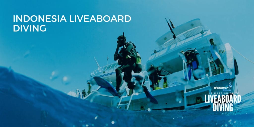 Indonesia Liveaboard Diving - Ultimate Guide to Liveaboard Diving