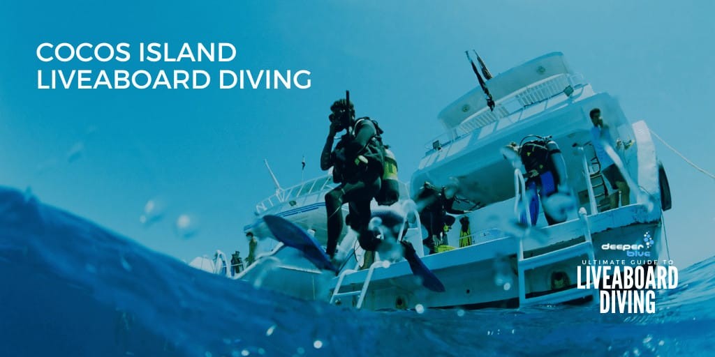 Cocos Island Liveaboard Diving - Ultimate Guide to Liveaboard Diving