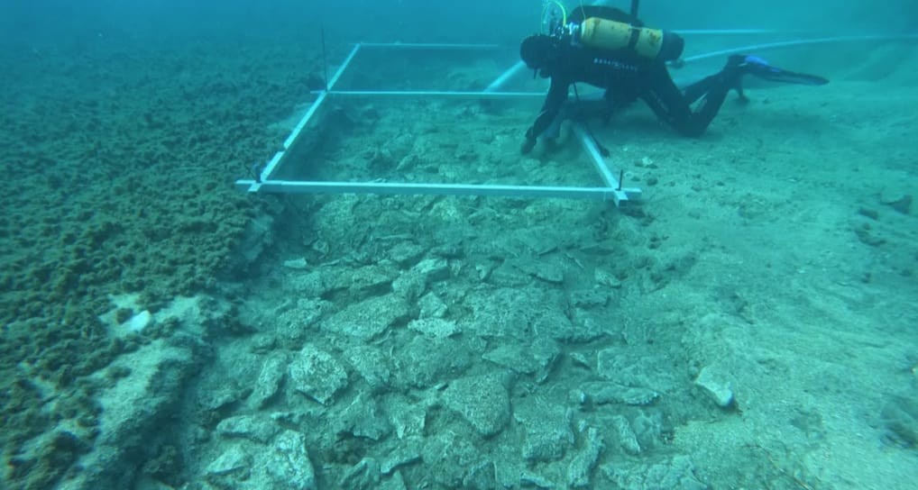Archeologists Find 7,000-Year-Old Road Under Mediterranean Sea (Image credit: University of Zadar)