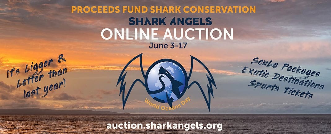 Shark Angels Annual Auction 2023