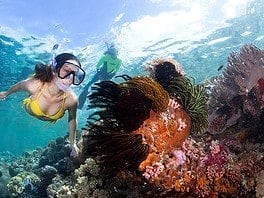 A snorkeler with snorkel guide on the Wakatobi House Reef.
