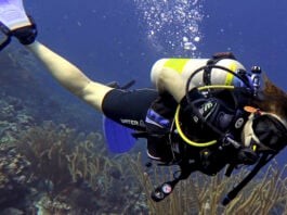 Lisa Niver diving in Bonaire (Photo courtesy Lisa Niver)