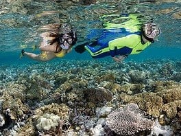 Twilight Wonders: Snorkeling at Wakatobi's Jetty Bar