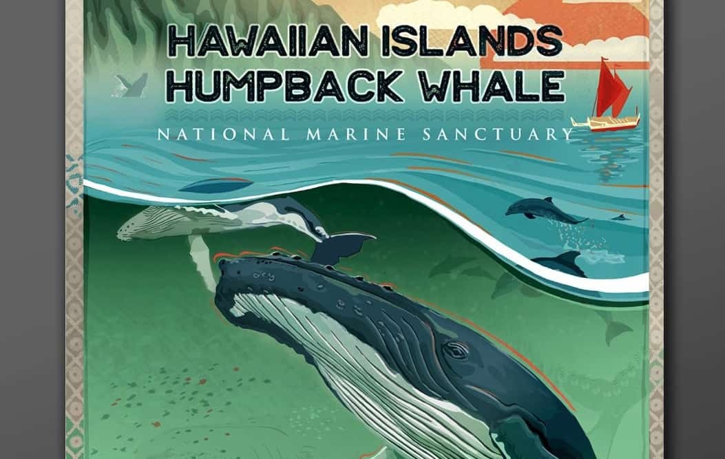Hawaiian Islands Humpback Whale NMS (Image credit: Matthew Mcintosh/NOAA)