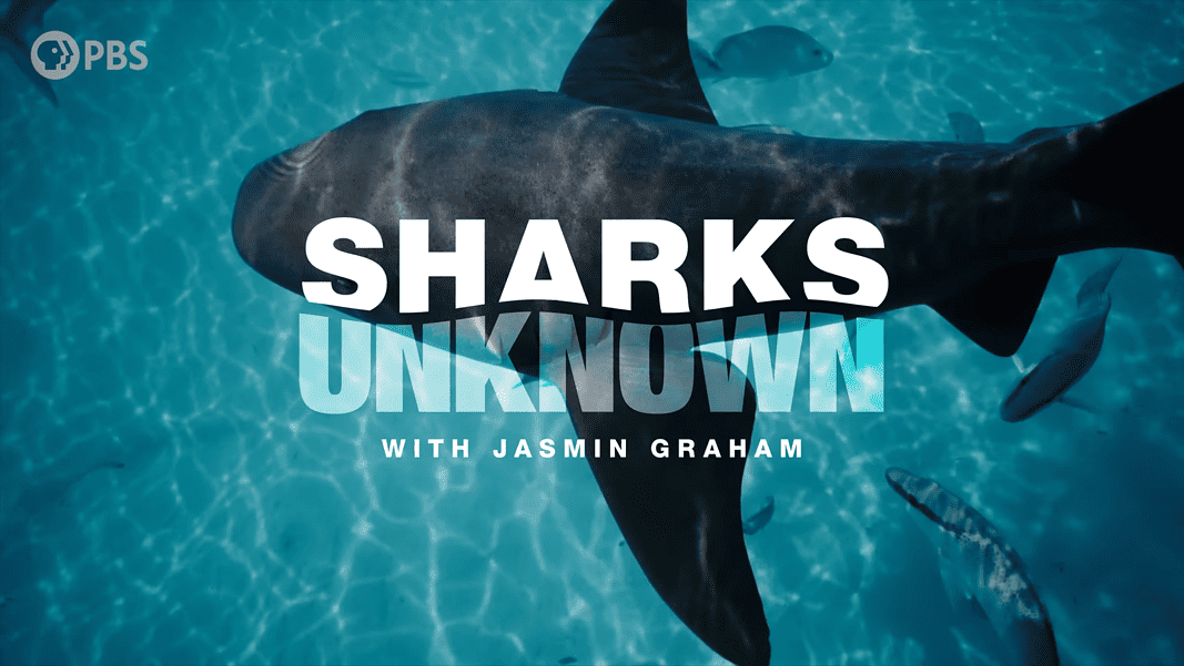'Sharks Unknown with Jasmin Graham' (Image credit: PBS Terra)