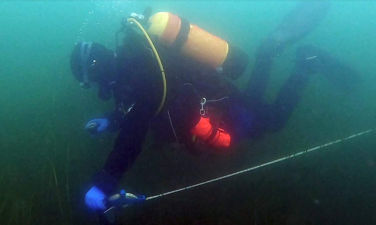 BSAC Underwater Surveyor course (Image credit: (c) Andy Hunt)
