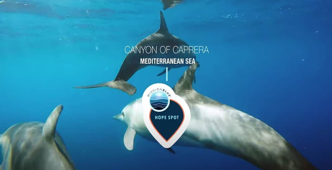 Mission Blue Names Canyon of Caprera as Latest Hope Spot